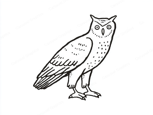Owl Vector Graphic preview