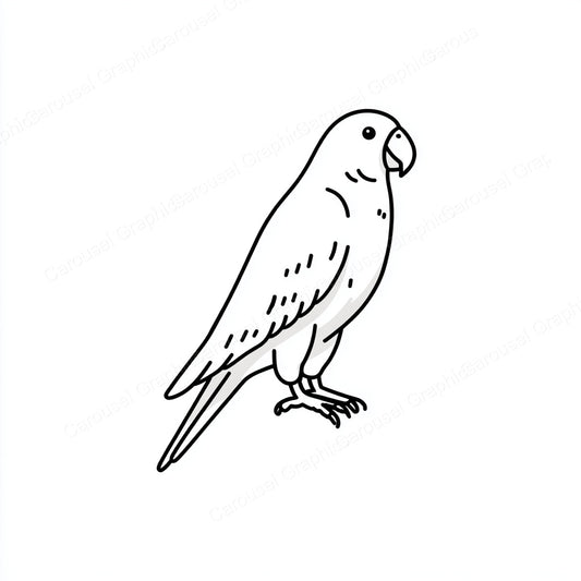 Parrot Vector Graphic preview