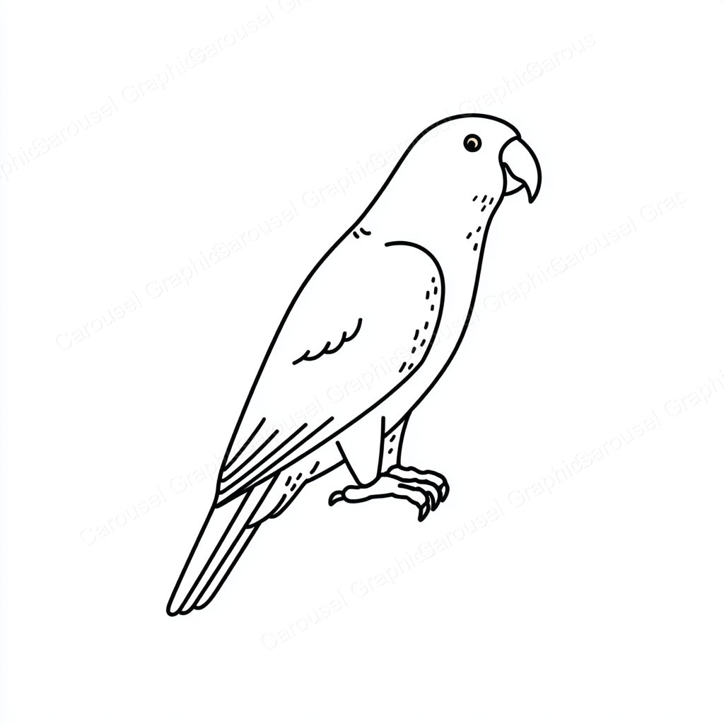 Parrot Vector Graphic preview