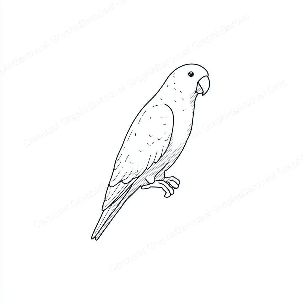 Parrot Vector Graphic preview
