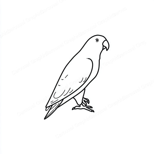 Parrot Vector Graphic preview
