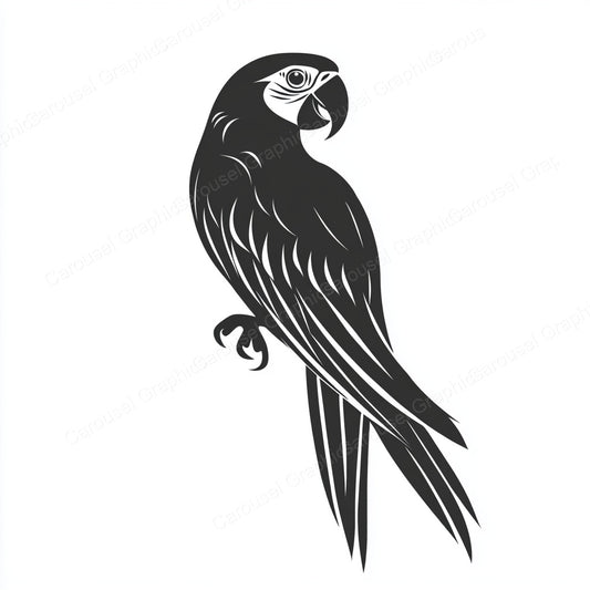 Parrot Vector Graphic preview