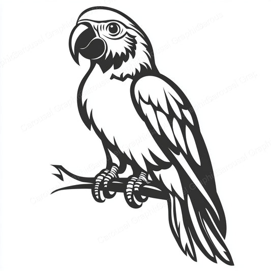 Parrot Vector Graphic preview