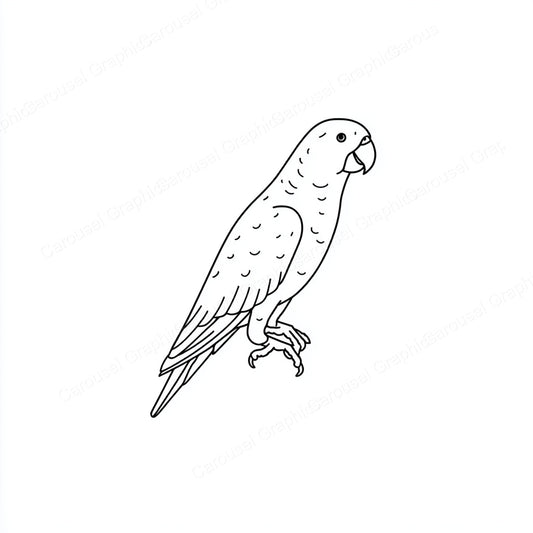 Parrot Vector Graphic preview