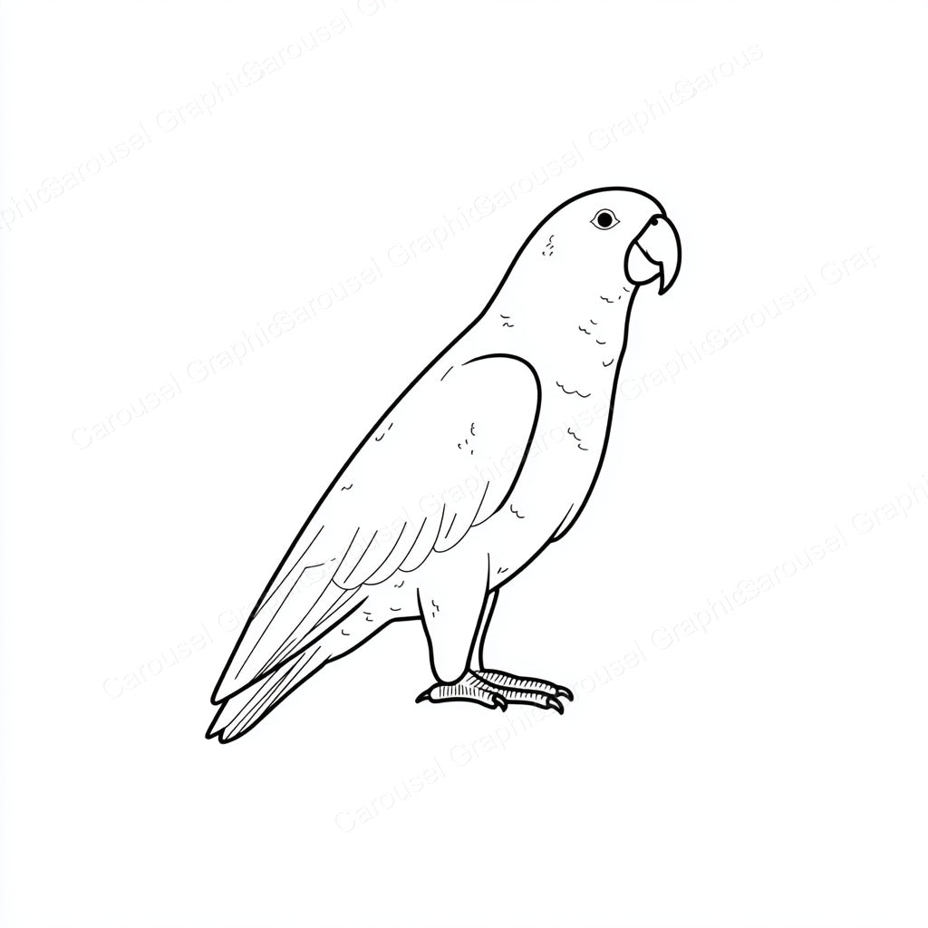 Parrot Vector Graphic preview
