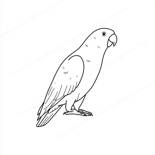 Parrot Vector Graphic preview