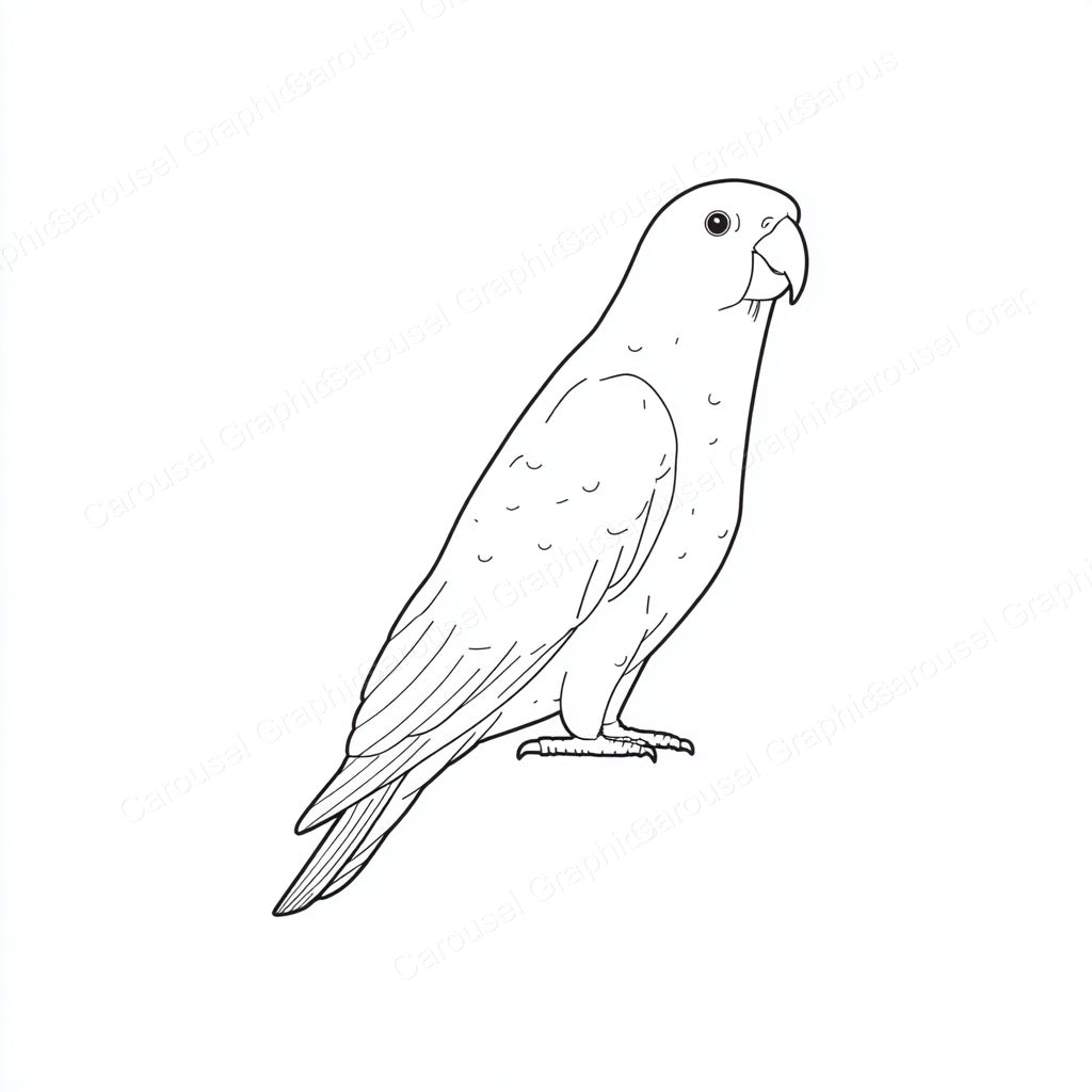 Parrot Vector Graphic preview