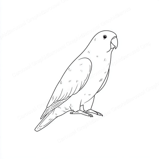 Parrot Vector Graphic preview