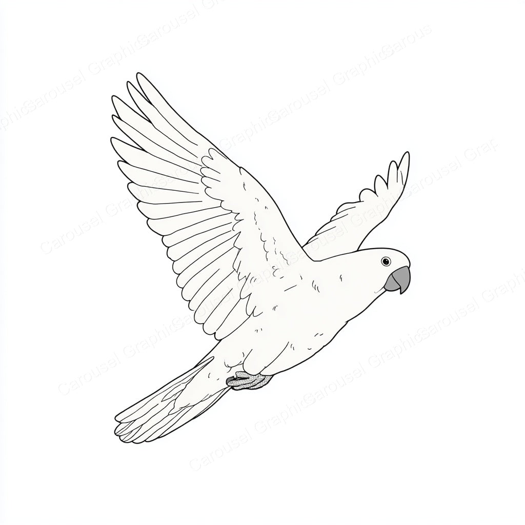 Parrot Vector Graphic preview