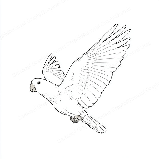Parrot Vector Graphic preview