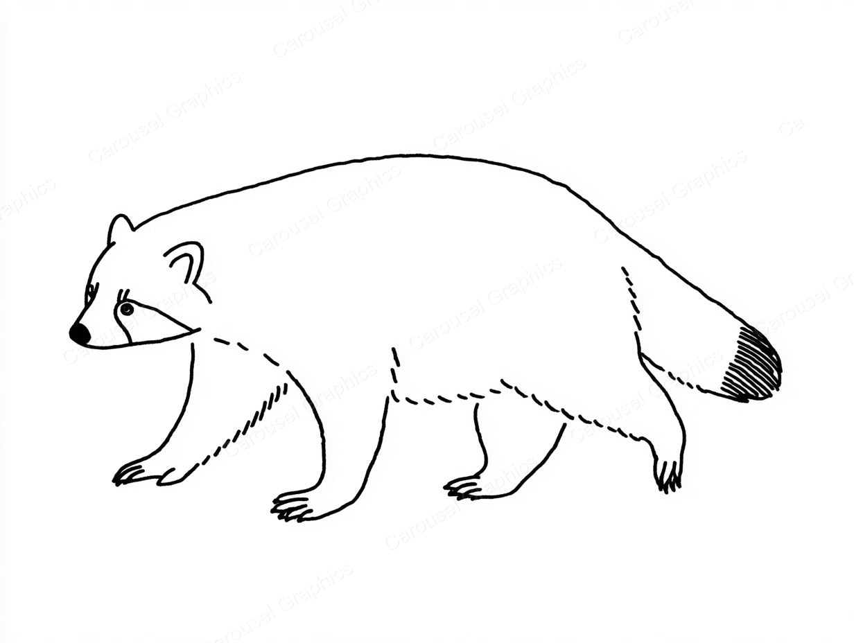 Raccoon Vector Graphic preview