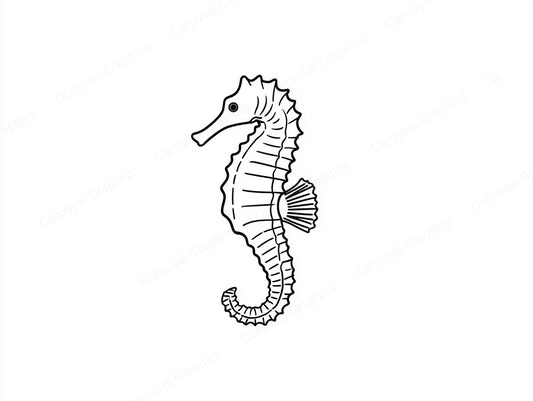 Seahorse Vector Graphic preview