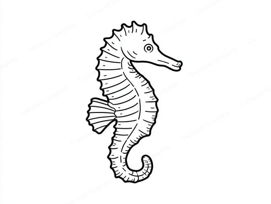 Seahorse Vector Graphic preview