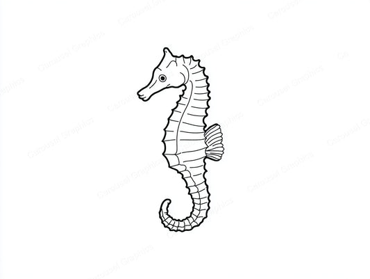 Seahorse Vector Graphic preview