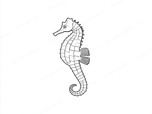 Seahorse Vector Graphic preview