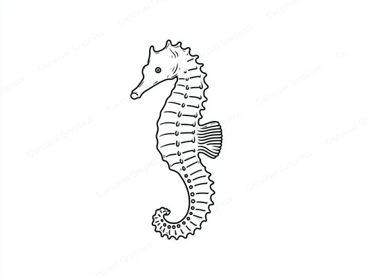 Seahorse Vector Graphic preview