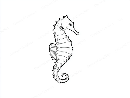 Seahorse Vector Graphic preview
