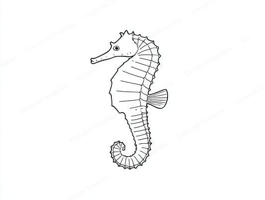 Seahorse Vector Graphic preview