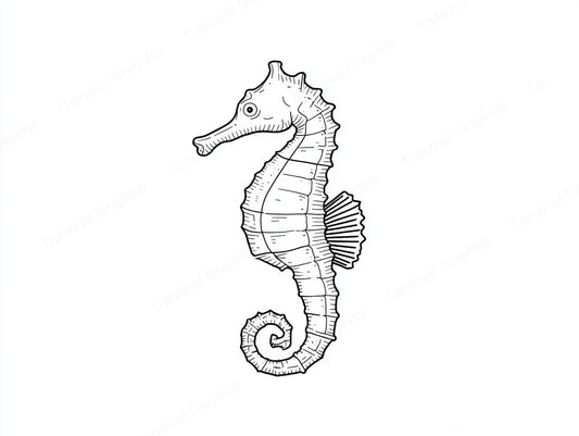 Seahorse Vector Graphic preview
