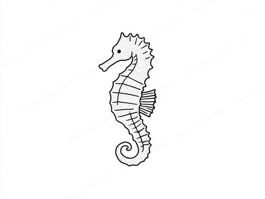 Seahorse Vector Graphic preview