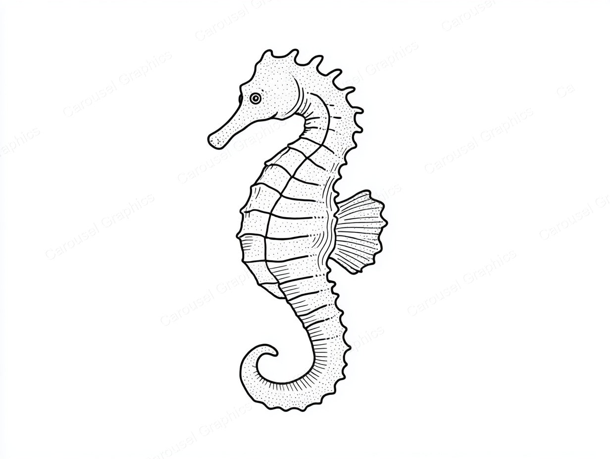 Seahorse Vector Graphic preview