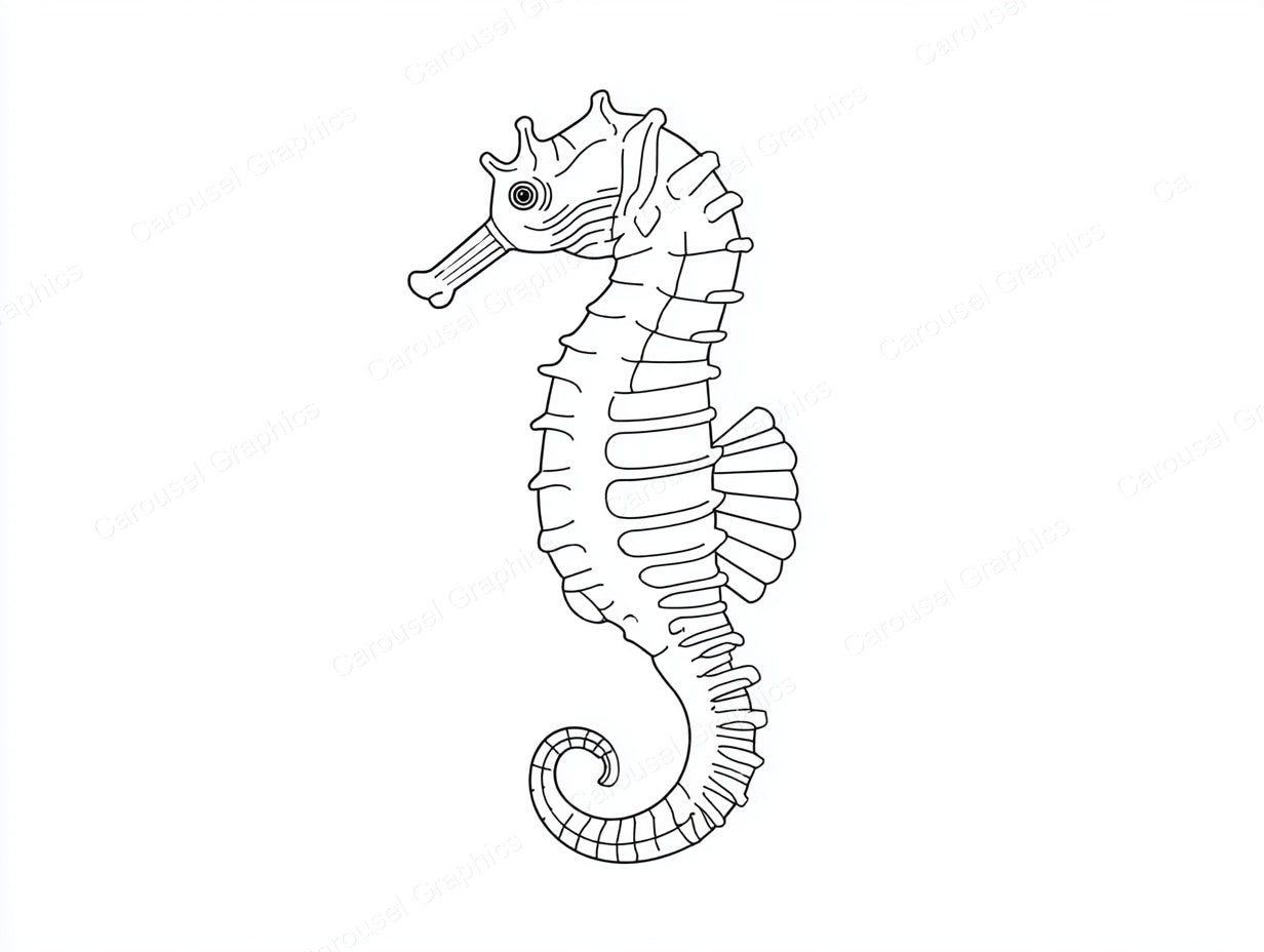 Seahorse Vector Graphic preview