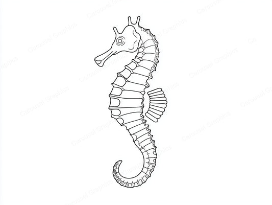 Seahorse Vector Graphic preview