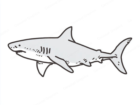 Shark Vector Graphic preview