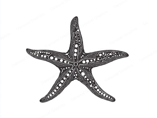 Starfish Vector Graphic preview