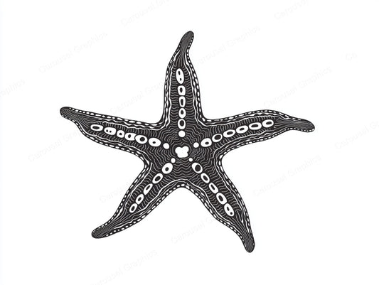 Starfish Vector Graphic preview