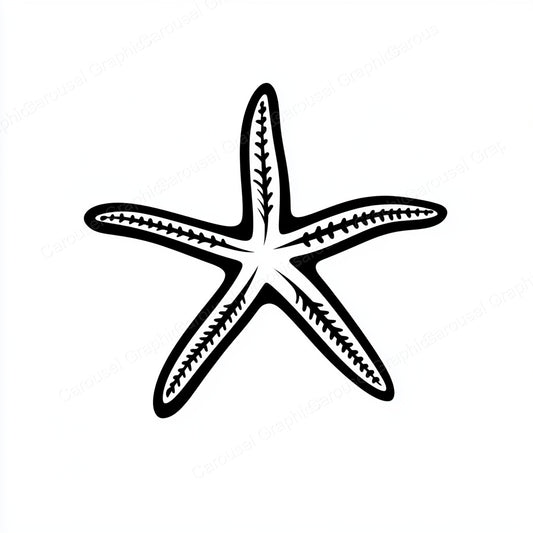 Starfish Vector Graphic preview