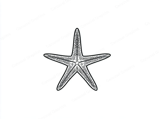 Starfish Vector Graphic preview