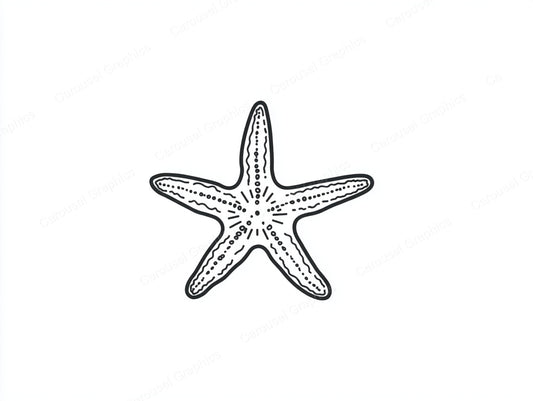 Starfish Vector Graphic preview