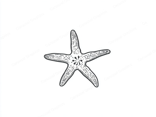Starfish Vector Graphic preview