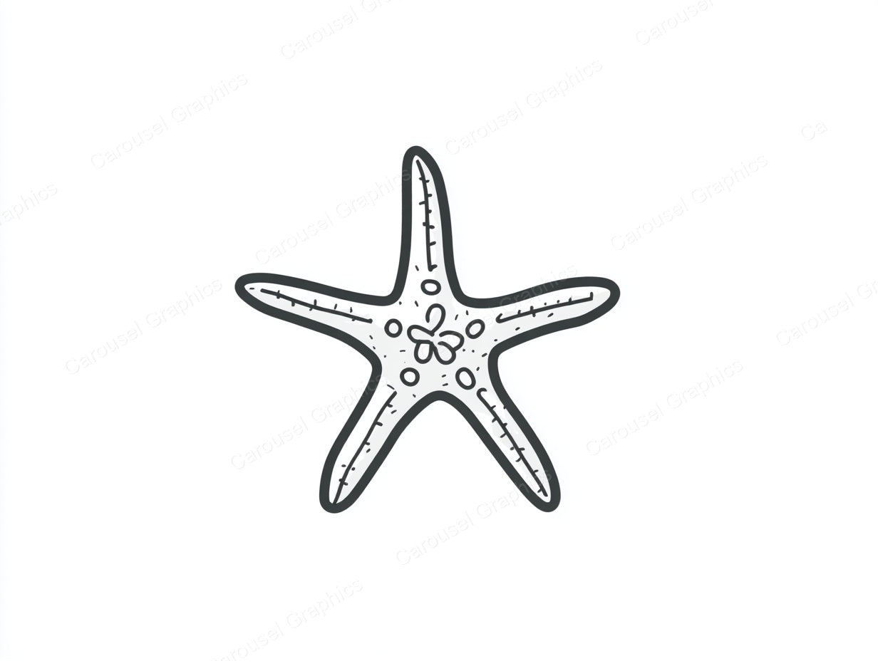 Starfish Vector Graphic preview