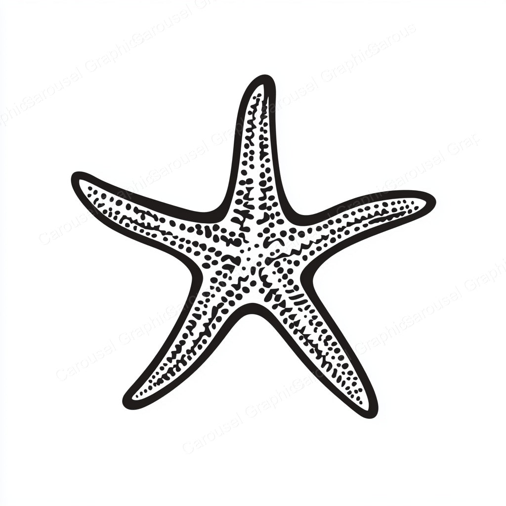 Starfish Vector Graphic preview