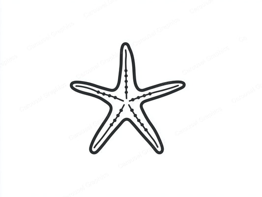 Starfish Vector Graphic preview
