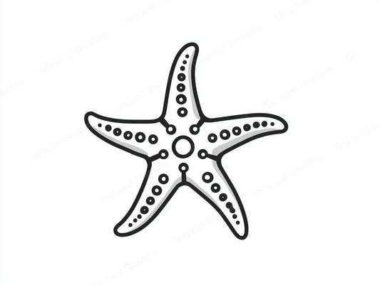 Starfish Vector Graphic preview