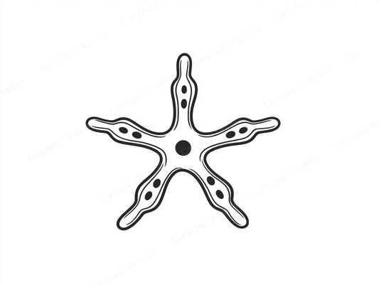 Starfish Vector Graphic preview