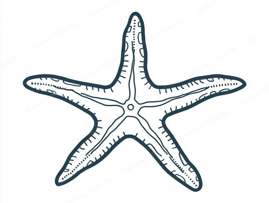 Starfish Vector Graphic preview