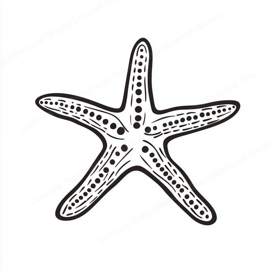 Starfish Vector Graphic preview