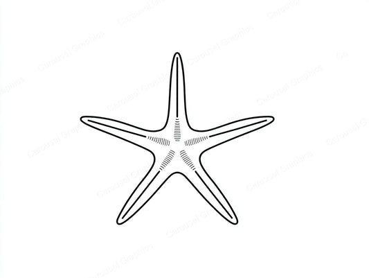 Starfish Vector Graphic preview