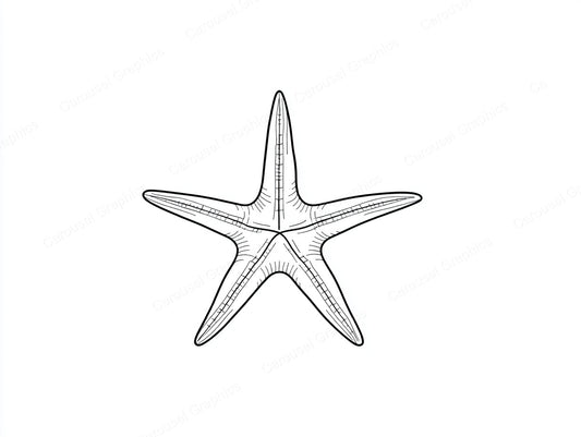 Starfish Vector Graphic preview