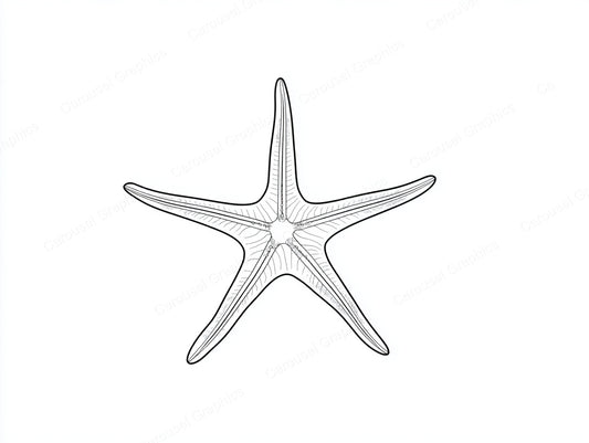 Starfish Vector Graphic preview