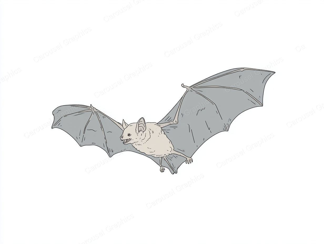 Bat Vector Graphic preview