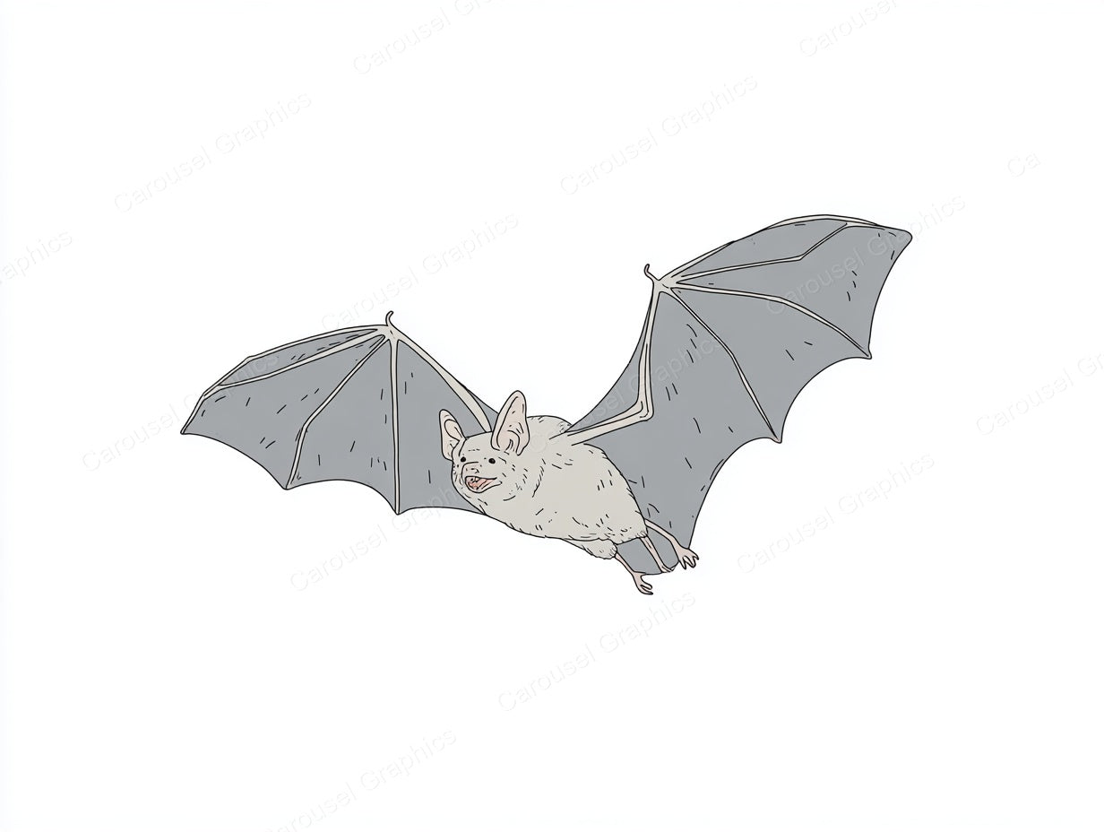 Bat Vector Graphic preview