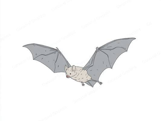 Bat Vector Graphic preview