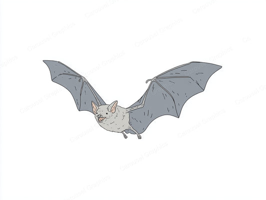 Bat Vector Graphic preview