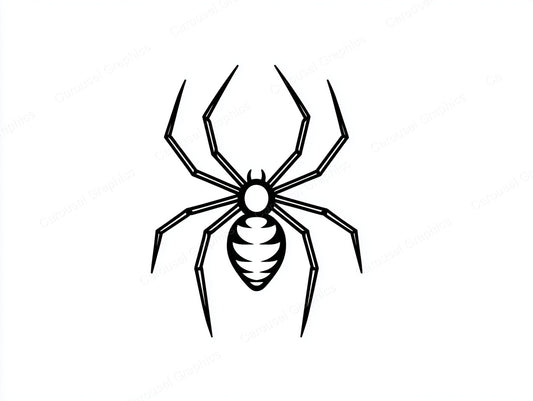 Spider Vector Graphic preview