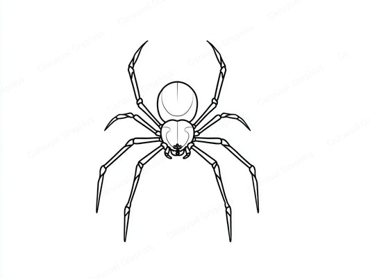 Spider Vector Graphic preview